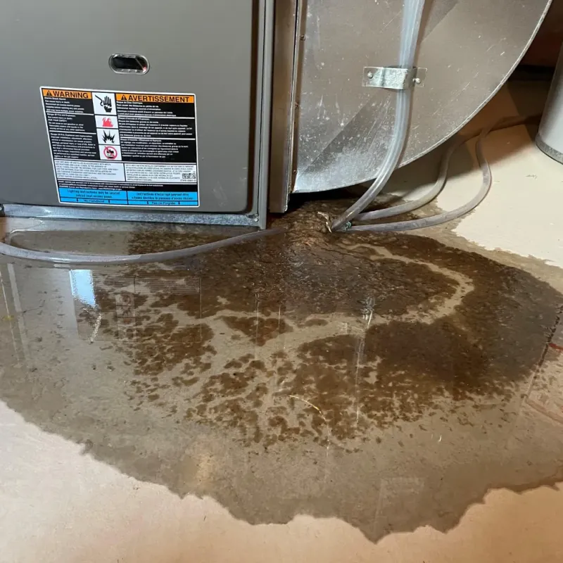 Appliance Leak Cleanup in Fergus County, MT